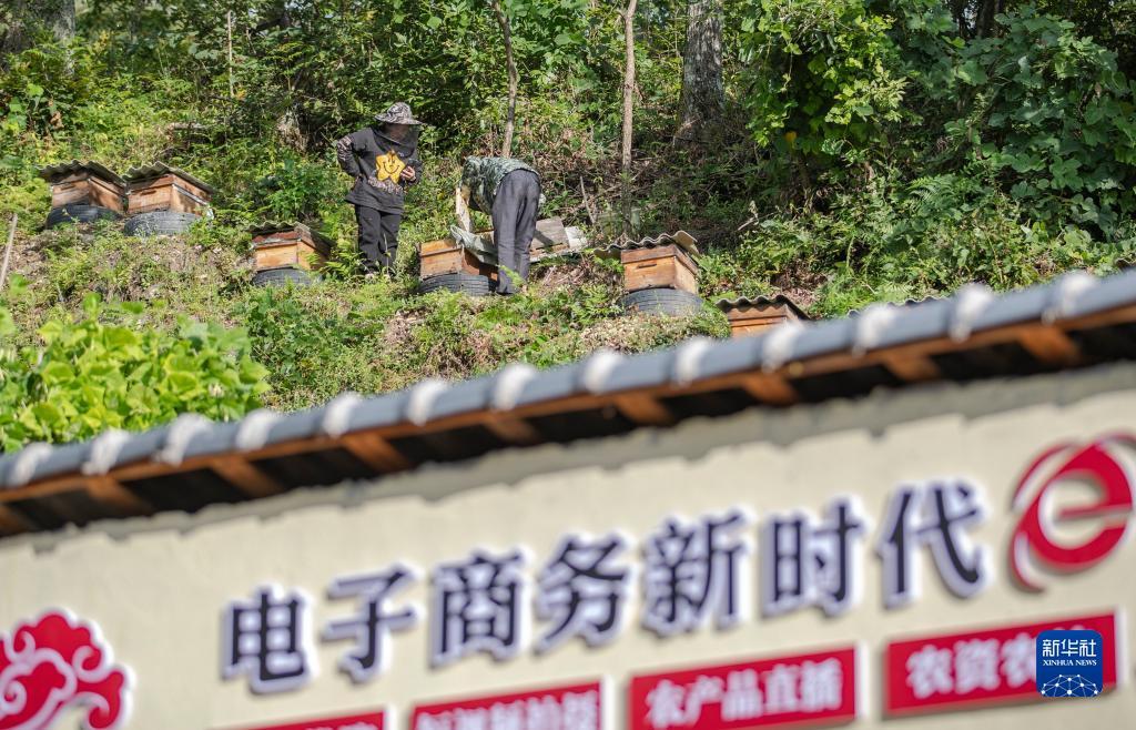 新开户送58体验金